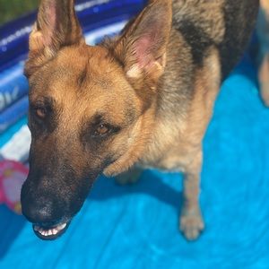 Meet your Posher, Renee